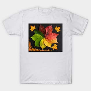 autumn leaves T-Shirt